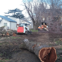 Workers moving branches