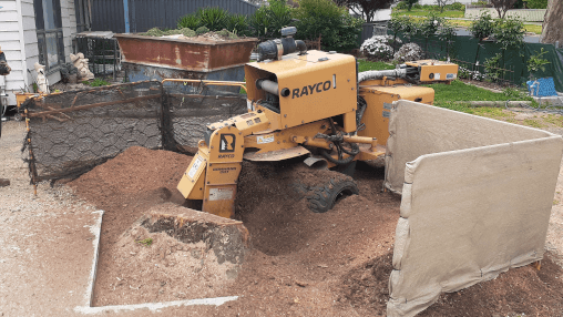 A stump grinder at work